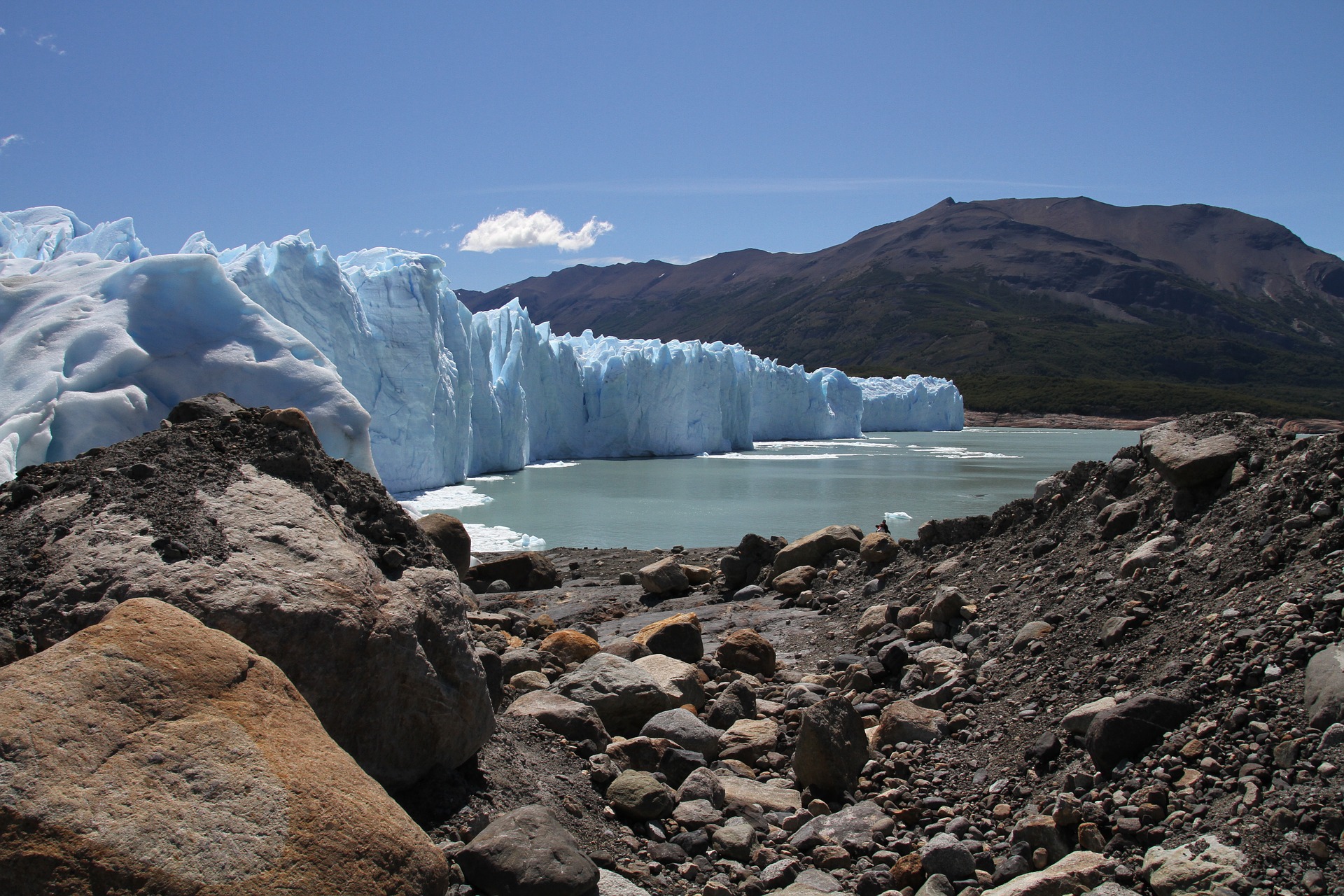 calafate perito moreno glaciar